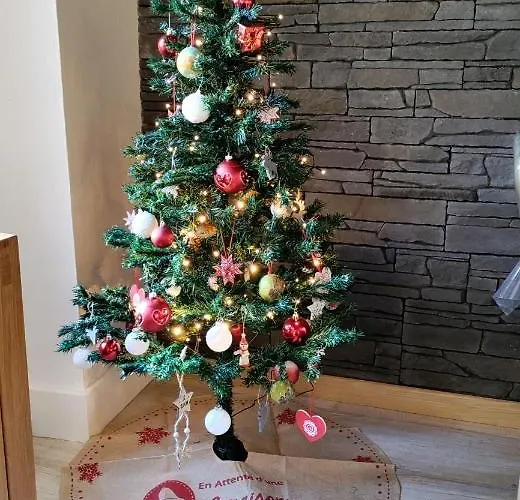 公寓 T3 Duplex Cures Ou Vacances, En Plein Centre-ville Allee D'ethigny Bagnères-de-Luchon